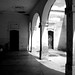 Miguel Paz Photo 7
