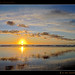 Shelley Sun Photo 9