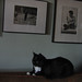 Harold Clark Photo 11