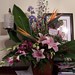 Coleen Duffy Photo 15