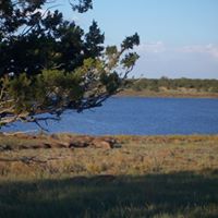 Larry Pointer Photo 15