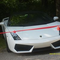 Albert Ferrari Photo 18