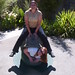 Cheryl Pitt Photo 10