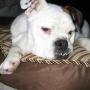 Sherry Schaefer Photo 4