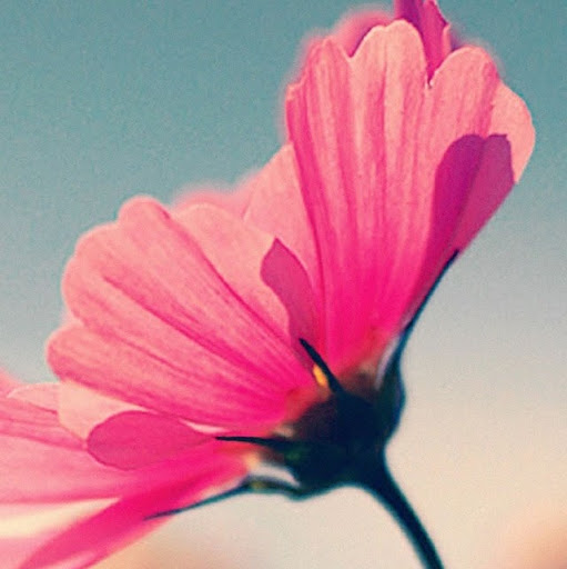 Aimee Herrera Photo 34