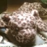 Julie Henne Photo 22