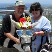 Sharon Colvin Photo 26