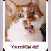 Bill Card Photo 29