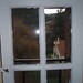 Sharon Blanch Photo 3
