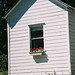 Robin Dailey Photo 19