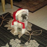 Patricia Coady Photo 16