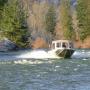Jerry Gross Photo 7