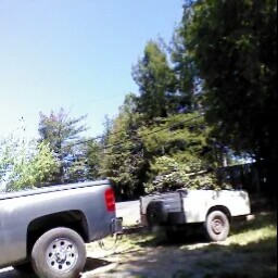 Don Cheek Photo 12