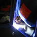 Jannette Burns Photo 5