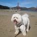 Willie Bridges Photo 12