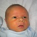 Tyler Cowan Photo 21