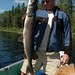 Mark Pike Photo 43