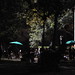 Robert Fowlkes Photo 8