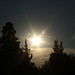 Joseph Felice Photo 21