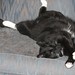 Georgie Walker Photo 26