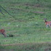 John Nickels Photo 23