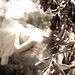 Jessica Brawner Photo 10