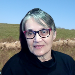 Judith Moses Photo 19