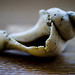 Rebecca Shell Photo 20