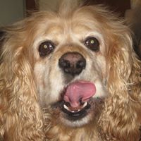 Ray Meeks Photo 5