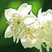 Debbie Keefe Photo 11