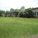 Delmar Robinson Photo 13