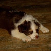 Connie Hull Photo 28