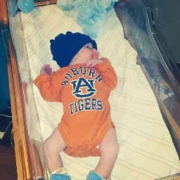 Jared Davis Photo 23
