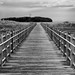 Charles Kidd Photo 30