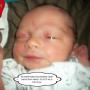 Carolyn Harrell Photo 28