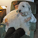 Phyllis Kramer Photo 13