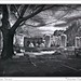 Arthur Roth Photo 28