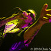 Chris Neeley Photo 9