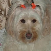 Margaret Allan Photo 31