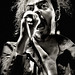 John Faure Photo 14