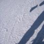 Andrew Swart Photo 12
