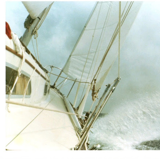 Jim Hodges Photo 17