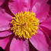 Amy Freund Photo 20