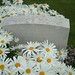 Bernard Evans Photo 16