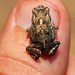 Don Small Photo 22