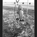 Rod Graves Photo 13
