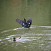 Duck Chu Photo 4