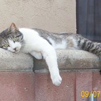Tracey Kincaid Photo 2