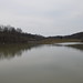 Virginia Castleman Photo 14