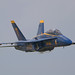 Douglas Tomlinson Photo 9